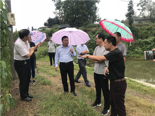 慈利縣九九農業開發有限公司,張家界粘木苗銷售,杜仲種植,苗木銷售